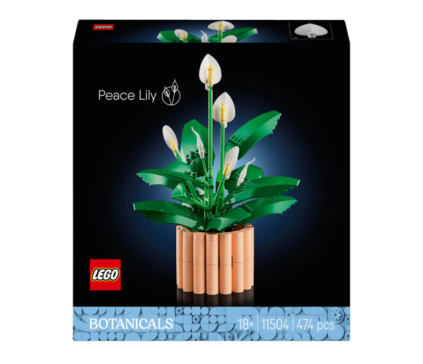 LEGO BOTANICALS 11504 Skrzydłokwiat - 1473410 - zdjęcie